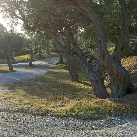 Colori Di Sicilia * Rodia