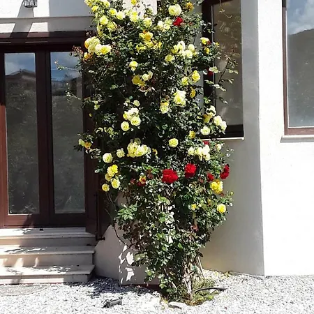 Colori Di Sicilia Casa vacanze