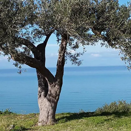Colori Di Sicilia Rodia